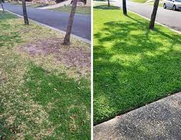 Expert Lawn Care Specialist: Mowing, Edging, and Trimming Services