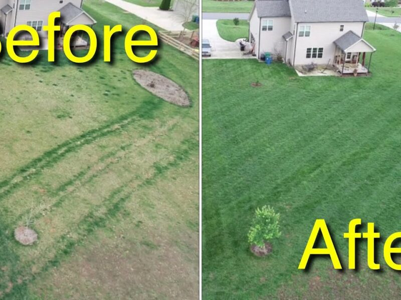 Expert Lawn Care Specialist: Mowing, Edging, and Trimming Services