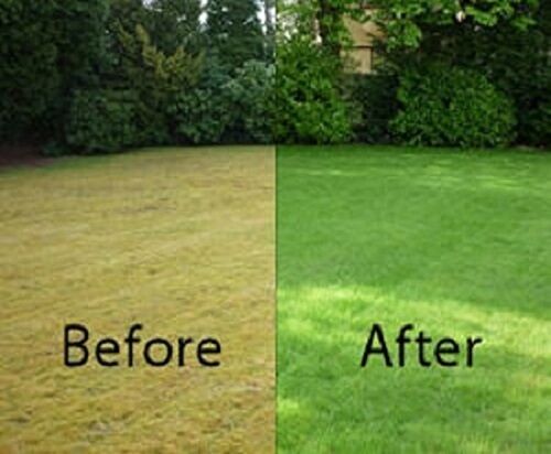 Expert Lawn Care Specialist: Mowing, Edging, and Trimming Services