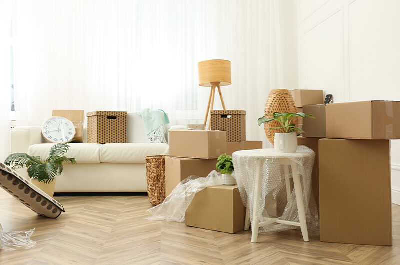 Professional Packing and Unpacking Services: Stress-Free Move